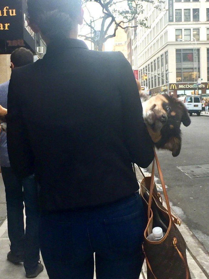 现在的小孩都那么不好哄的吗,现在的小孩不好管教