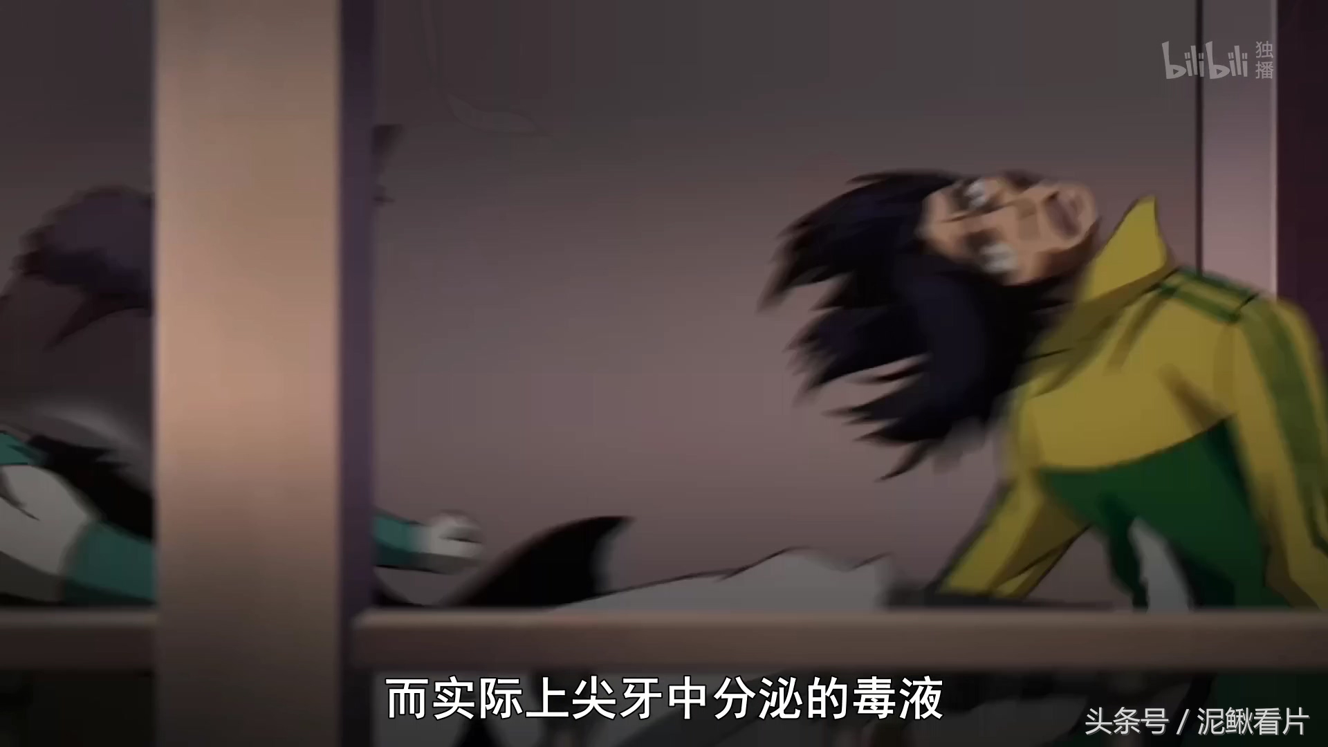 新番动漫1v1决斗,新番动漫第一集40分钟