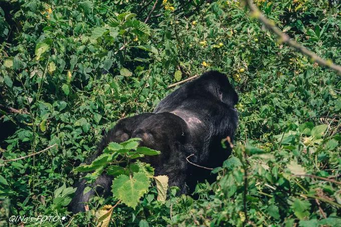 750块钱可以干什么,750块钱能干什么
