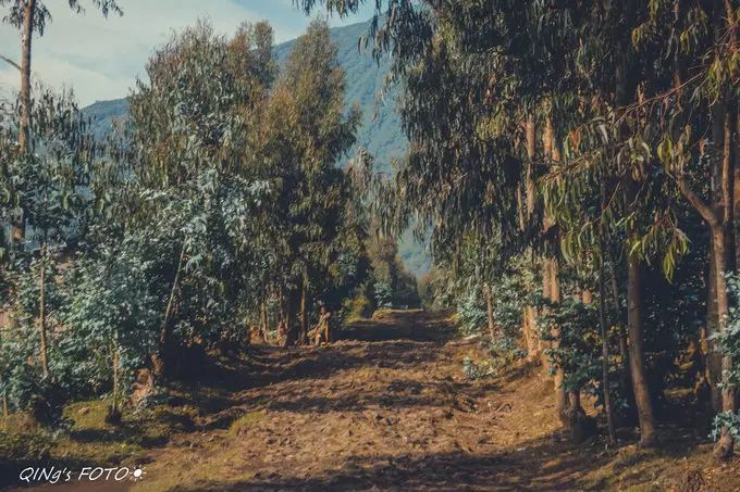 750块钱可以干什么,750块钱能干什么