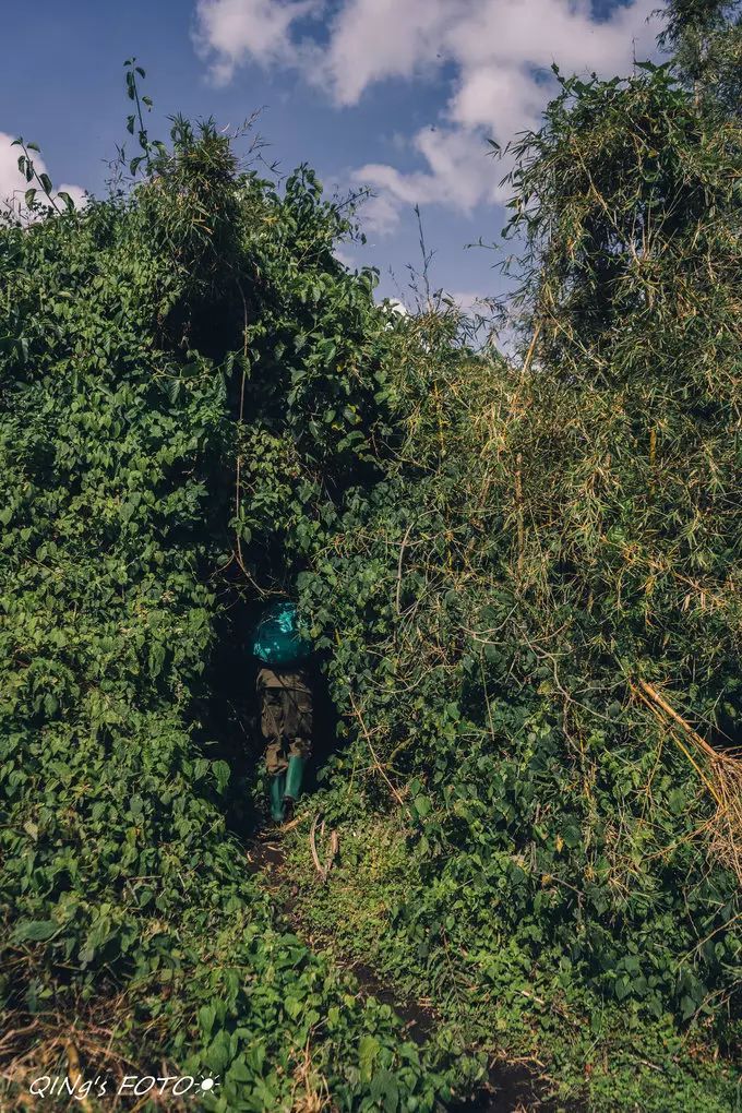 750块钱可以干什么,750块钱能干什么