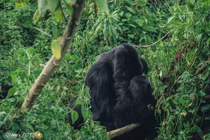 750块钱可以干什么,750块钱能干什么
