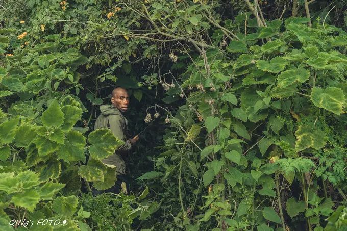 750块钱可以干什么,750块钱能干什么