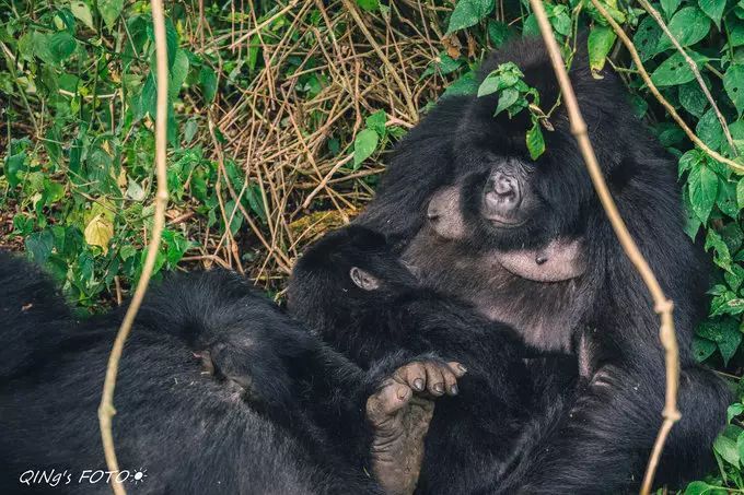 750块钱可以干什么,750块钱能干什么