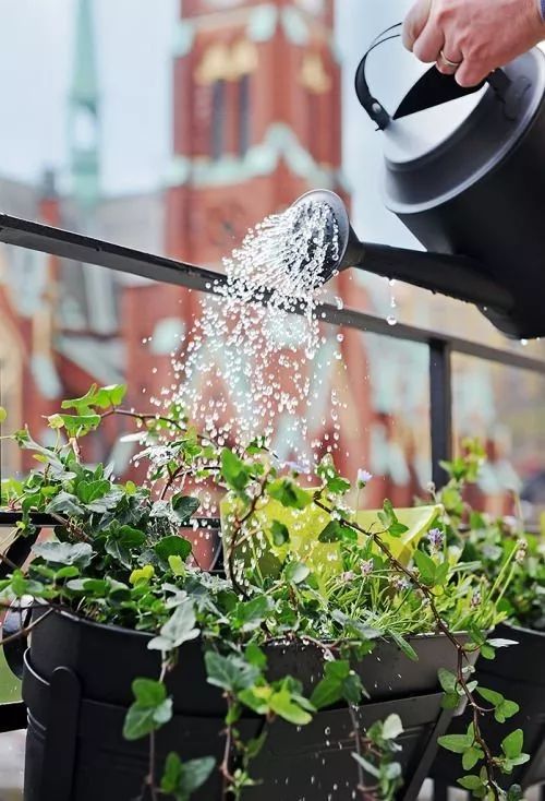 青少年焦虑情绪的疏导对策,幼儿情绪心理问题案例及对策