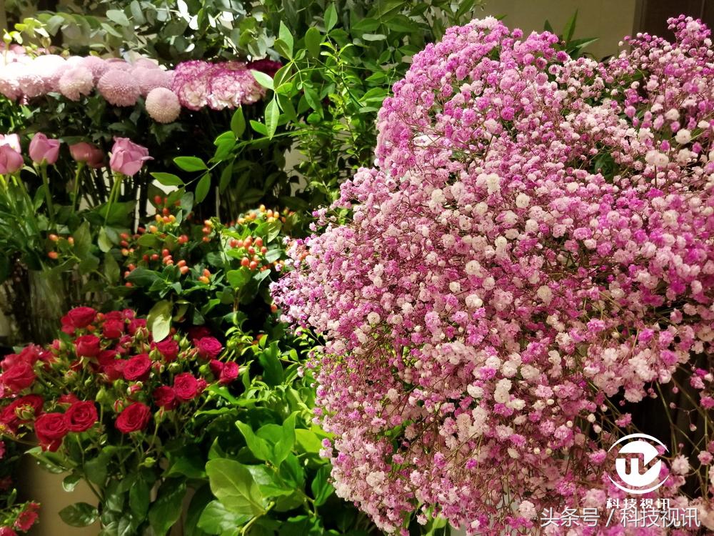 三星note8最新评测,三星note8哪个版本是骁龙835