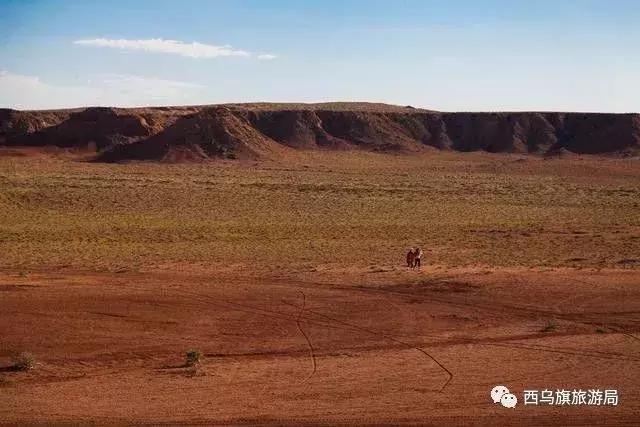 去了内蒙为什么敬酒三杯，哈达怎么接，马奶也是良药？