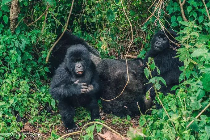 750块钱可以干什么,750块钱能干什么