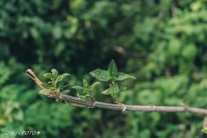 750块钱可以干什么,750块钱能干什么