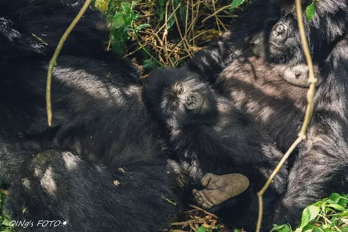 750块钱可以干什么,750块钱能干什么