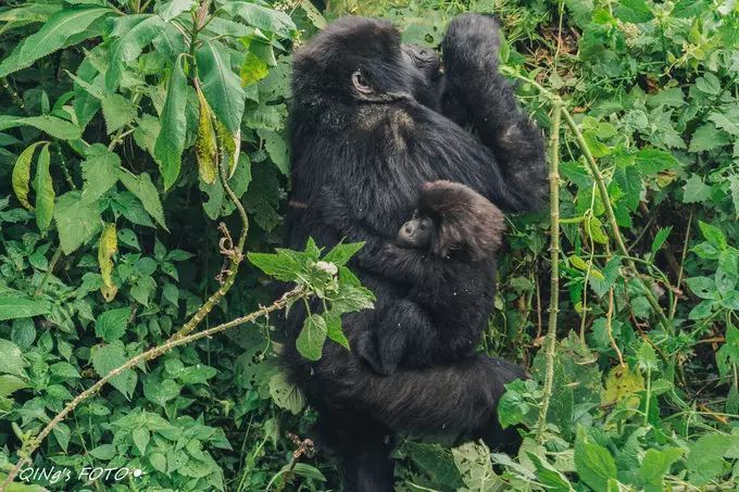 750块钱可以干什么,750块钱能干什么