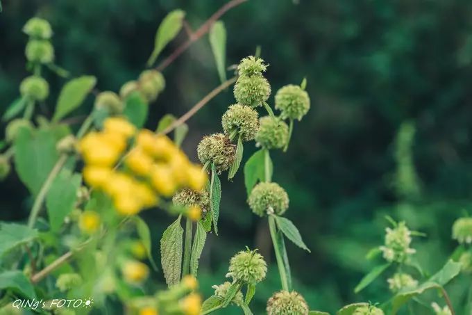 750块钱可以干什么,750块钱能干什么