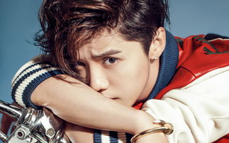 鹿晗哪些歌很好听,鹿晗有什么好听的歌