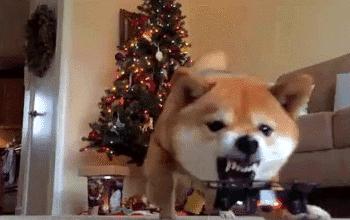 幽默搞笑：图五：水还没开始放，就想跳水了，打一成语