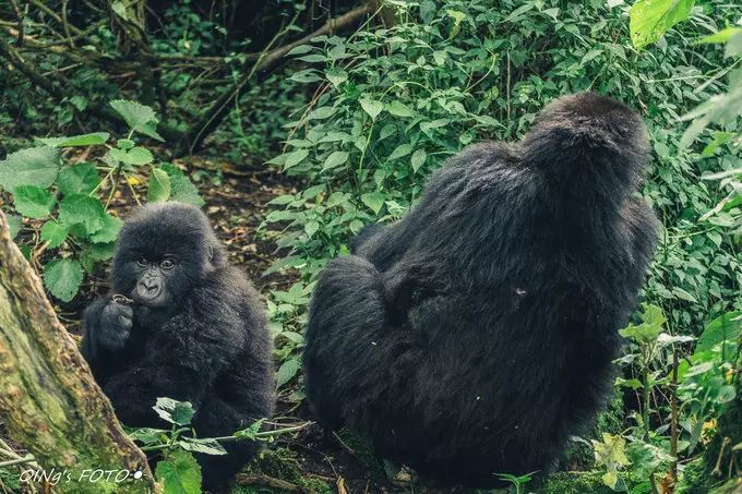 750块钱可以干什么,750块钱能干什么