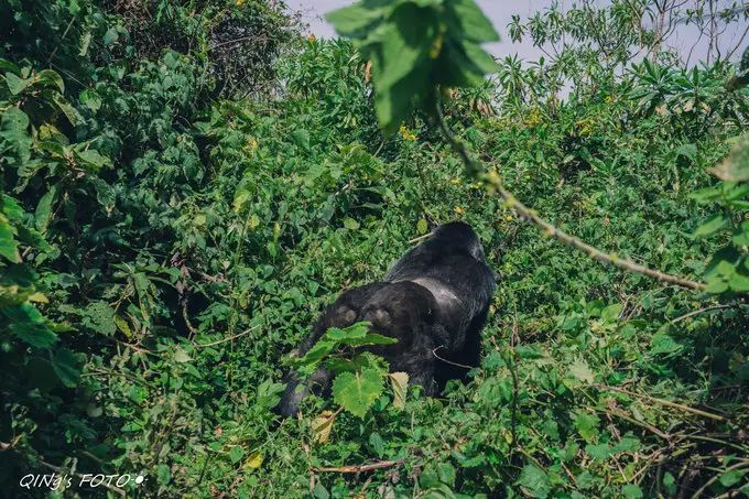 750块钱可以干什么,750块钱能干什么