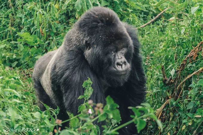 750块钱可以干什么,750块钱能干什么
