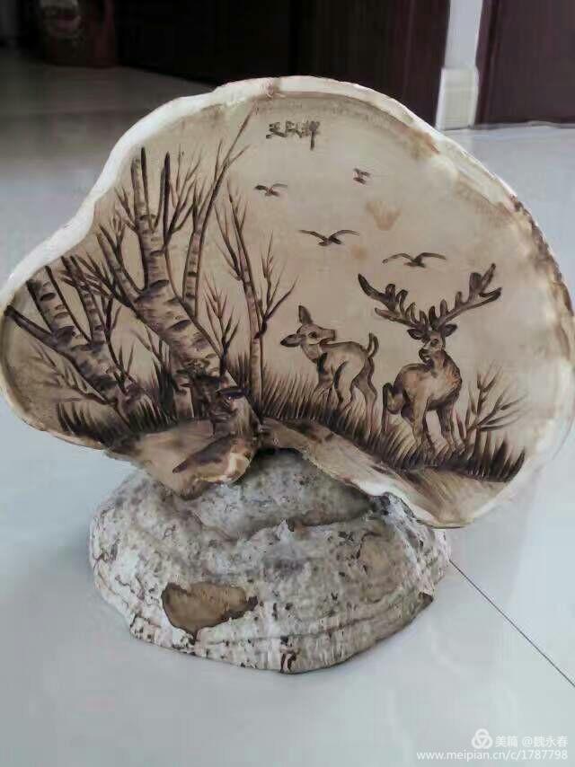 旅游、度假、休闲娱乐为一体的内蒙古根河市敖鲁古雅旅游度假村