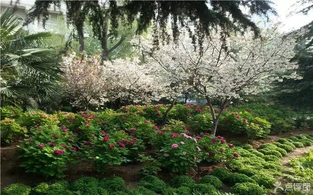 洛阳适合中学生好玩免费景点,洛阳各个景点的介绍