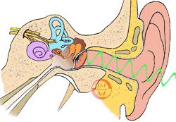 v课堂实景,v课堂操作指南