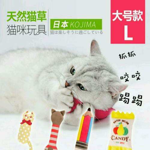 猫咪吃塑料袋缺少什么微量元素,猫咪咬塑料袋