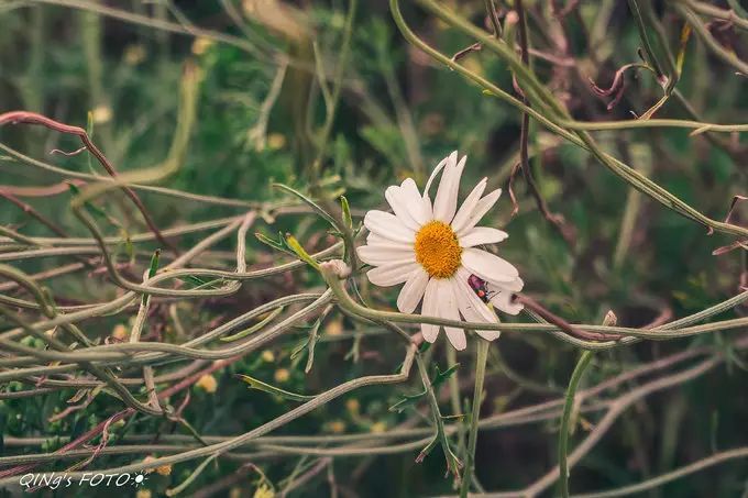 750块钱可以干什么,750块钱能干什么