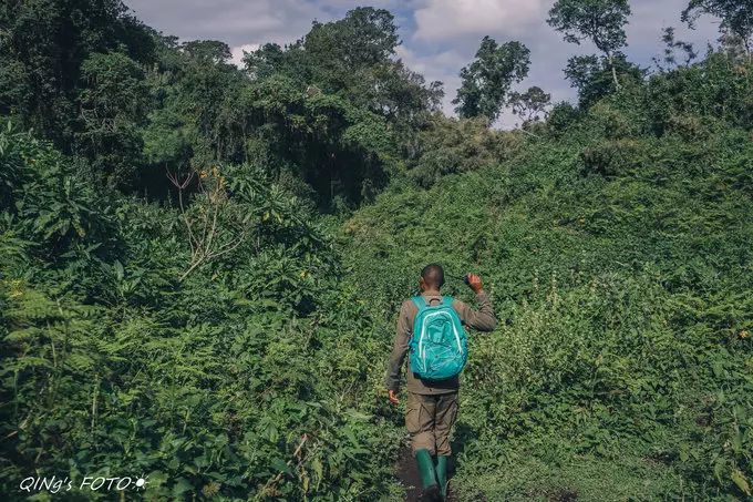 750块钱可以干什么,750块钱能干什么