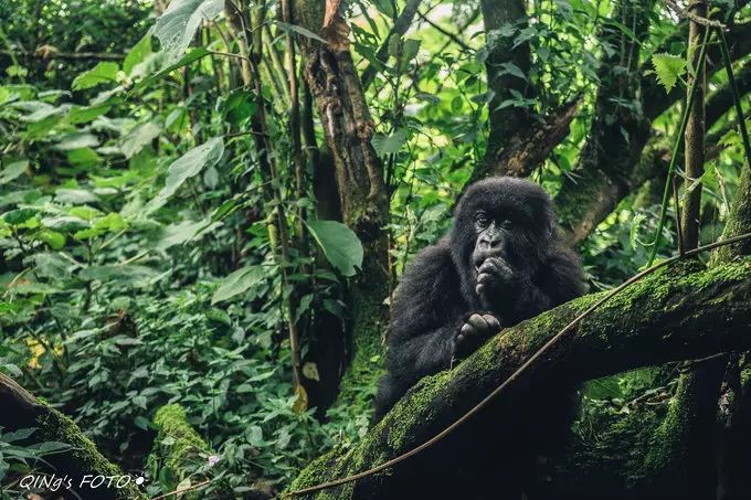 750块钱可以干什么,750块钱能干什么