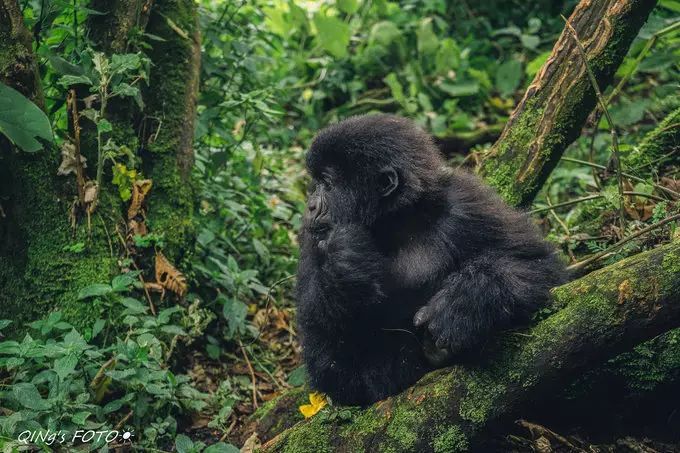 750块钱可以干什么,750块钱能干什么