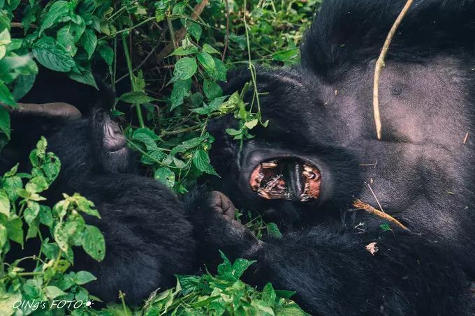750块钱可以干什么,750块钱能干什么