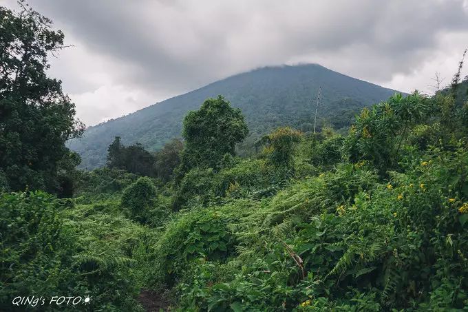 750块钱可以干什么,750块钱能干什么