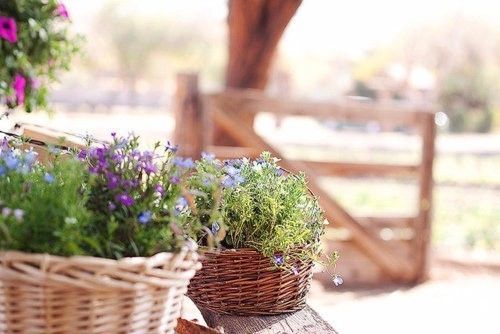 青少年焦虑情绪的疏导对策,幼儿情绪心理问题案例及对策