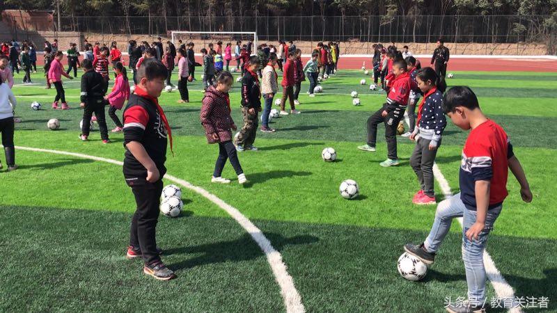 如今的袁河小学美的让你不敢相认——嬗变之花在这里璀璨绽放！