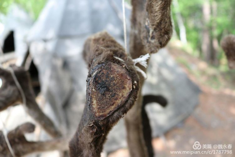 旅游、度假、休闲娱乐为一体的内蒙古根河市敖鲁古雅旅游度假村