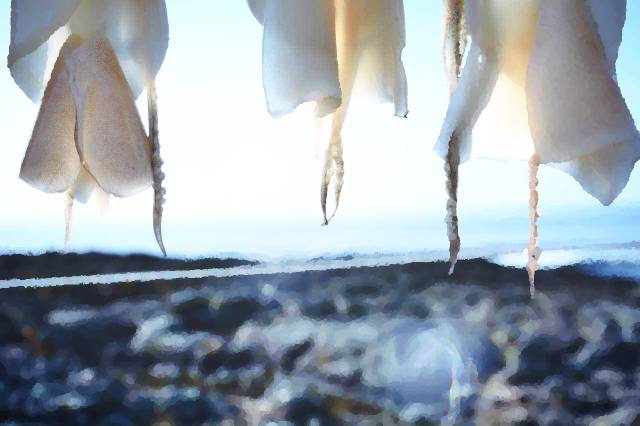 出川记,出川旅行记音乐