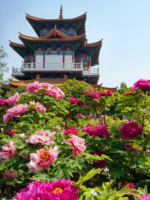 洛阳适合中学生好玩免费景点,洛阳各个景点的介绍