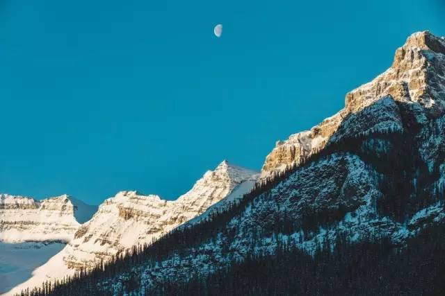 荒野猎人小李子救印第安女人,荒野猎人小李子遇到暴风雪