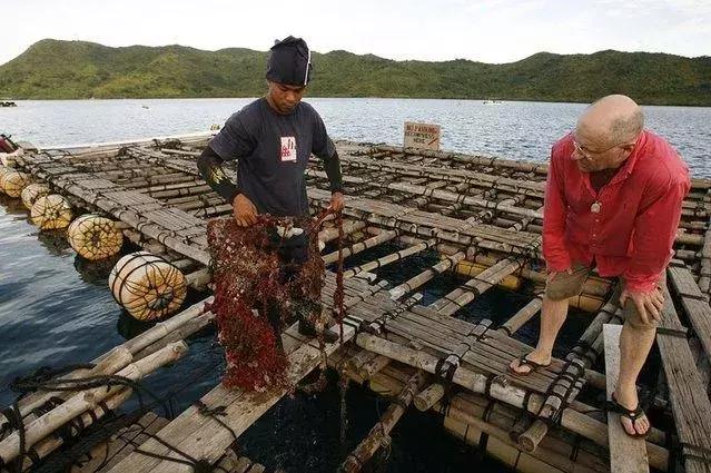 最贵的天然珍珠价格是多少钱,最贵天然珍珠