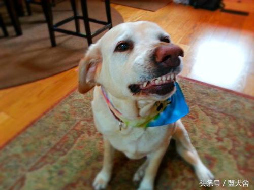 幽默搞笑：图五：水还没开始放，就想跳水了，打一成语