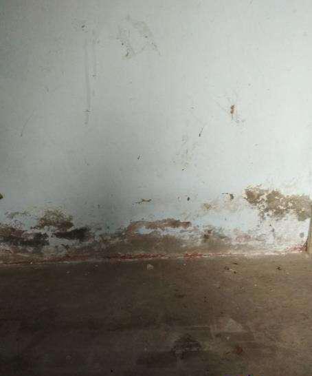 旧房翻新墙面发霉了怎么办,旧房墙壁发霉怎么办