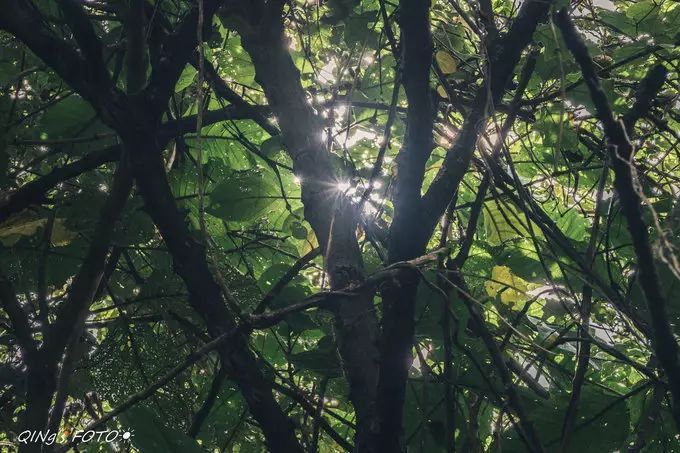 750块钱可以干什么,750块钱能干什么