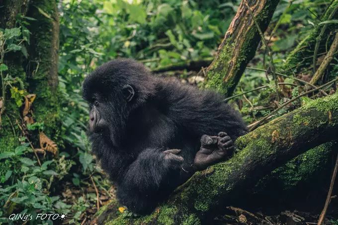 750块钱可以干什么,750块钱能干什么
