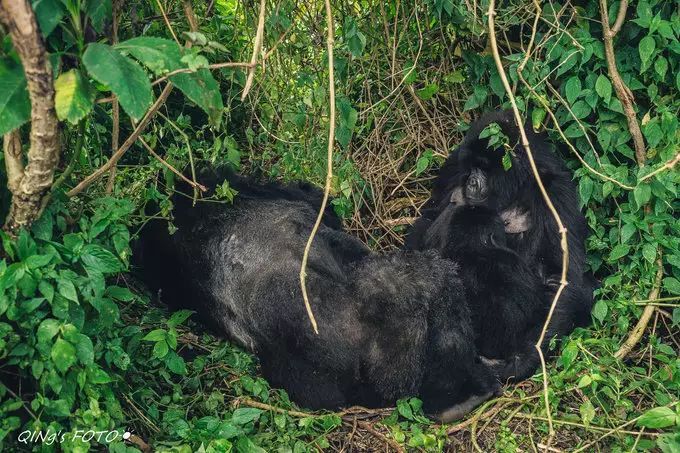 750块钱可以干什么,750块钱能干什么