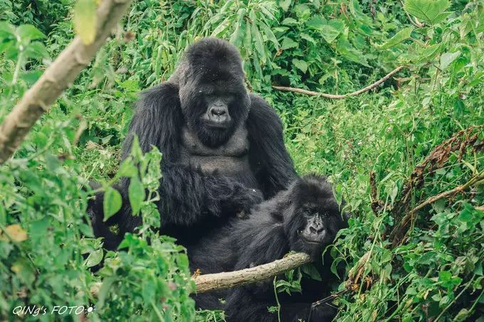 750块钱可以干什么,750块钱能干什么