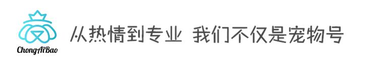 出生纸是什么,出生纸