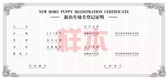 出生纸是什么,出生纸