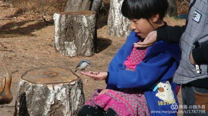 旅游、度假、休闲娱乐为一体的内蒙古根河市敖鲁古雅旅游度假村
