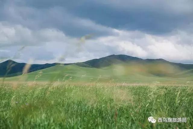 去了内蒙为什么敬酒三杯，哈达怎么接，马奶也是良药？