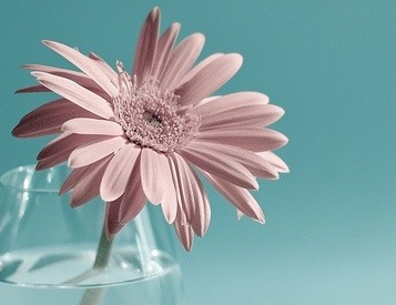 盆腔积液多少正常？你的正常吗？