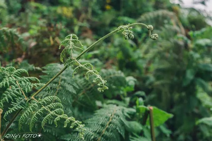 750块钱可以干什么,750块钱能干什么